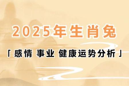 63年属兔人2023年运势解析财运事业感情全揭秘