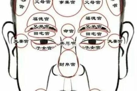 福德宫紫微天相得_福德宫紫微天相得命理解析与运势预测