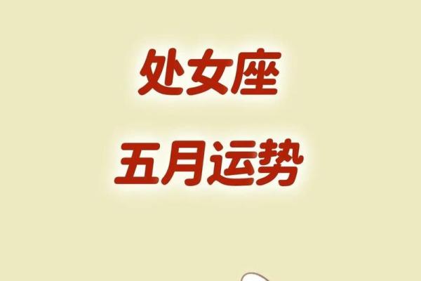 处女今日星座运势 处女座今日运势星座运势解析与幸运指南