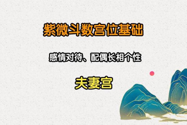 夫妻宫填充大约多少钱_夫妻宫填充费用解析价格区间及影响因素