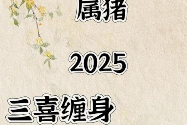 麦玲玲2025年属猪人全年运势 麦玲玲解析2025年属猪人全年运势财运事业感情全揭秘 麦玲玲2025年属猪人全年运势 麦玲玲解析2025年属猪人全年运势财运事业感情全揭秘