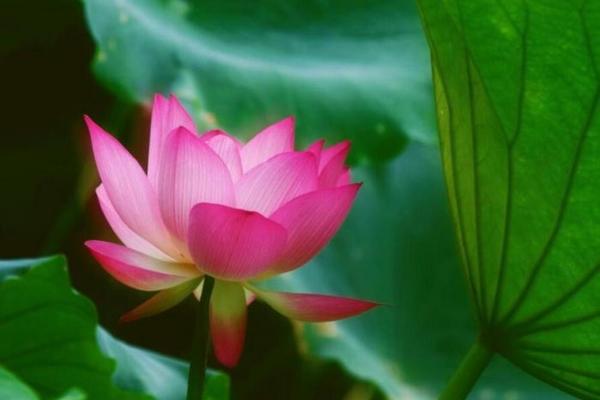 福德宫恩光 福德宫恩光天贵 福德宫恩光 福德宫恩光天贵