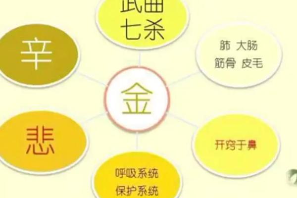 大耗在疾厄宫_大耗在疾厄宫代表什么 大耗在疾厄宫_大耗在疾厄宫代表什么