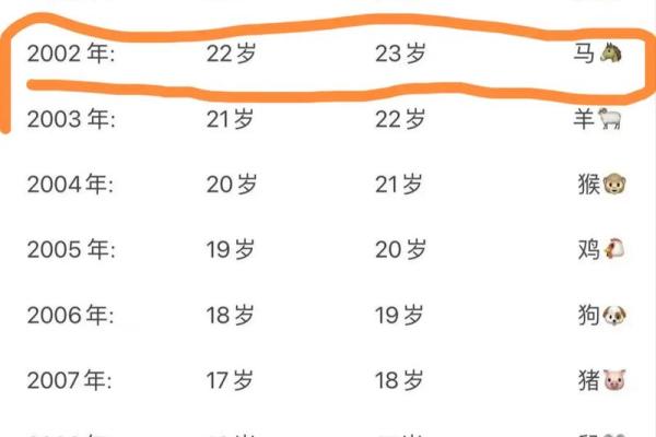 2002年属马人2025年运势解析财运事业健康全解