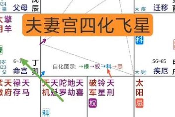 八座入夫妻宫_八座入夫妻宫男命