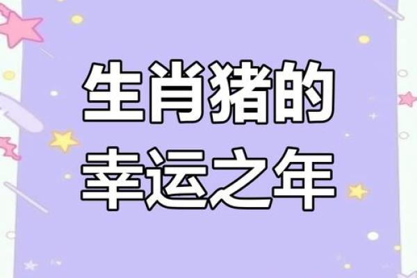 2025年属猪人全年运势详解财运事业感情全面解析