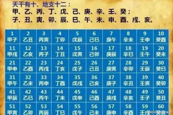 2024年2月属龙人年龄对照表出生年份与岁数速查