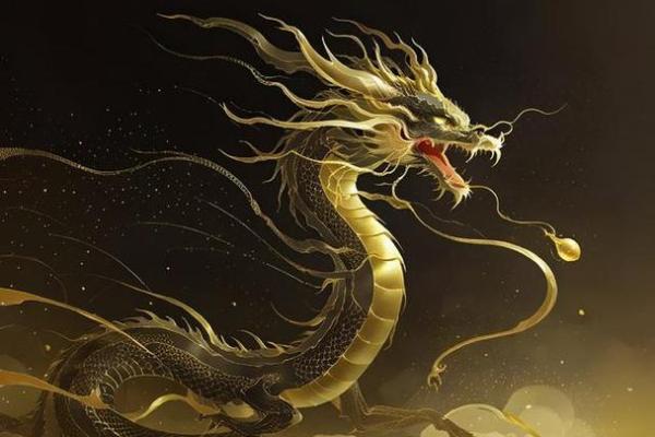 1988属龙人2027全年运势详解逐月运程与关键转折