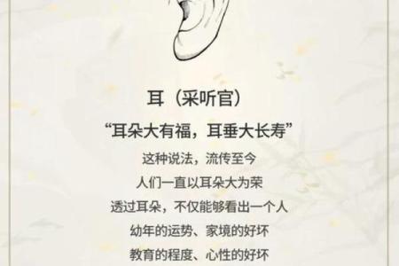 福德宫好的女人特点 福德宫好的女人特点命运与性格的完美结合