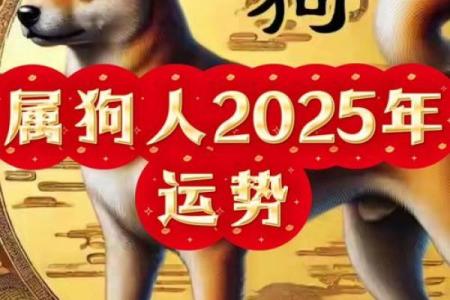 1994属狗男2025年的运势和婚姻_1994属狗男2025年运势与婚姻解析