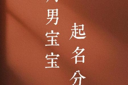 1987年腊月十九出生属龙还是属兔1988年1月生辰生肖归属