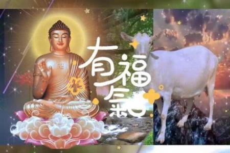 属羊91年2025年的运势及运程_属羊91年2025年的运势及运程如何