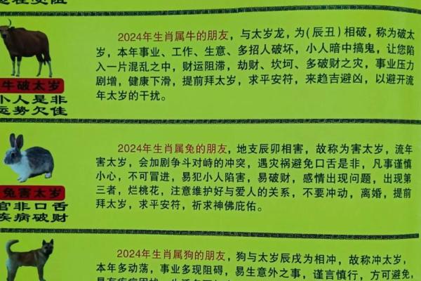 属龙人2025年还犯太岁吗_龙年犯太岁的五个属相