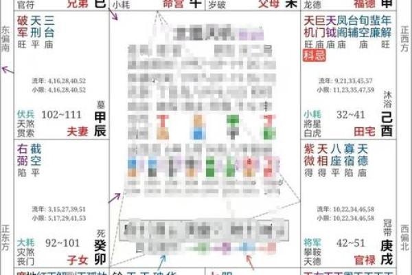 2025年2月22日寅时男命紫微斗数全解盘 2025年2月22日寅时男命紫微斗数全解盘