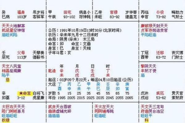 2025年3月25日丑时男命紫微斗数全解盘 2025年3月25日丑时男命紫微斗数全解盘