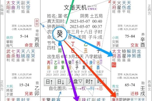 2025年3月16日子时男命紫微斗数全解盘 2025年3月16日子时男命紫微斗数全解盘