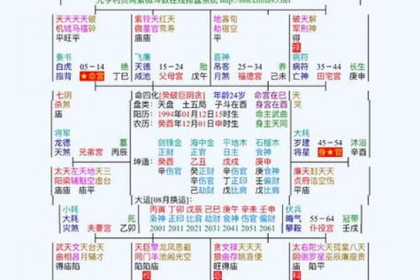 2025年3月28日子时女命紫微斗数全解盘