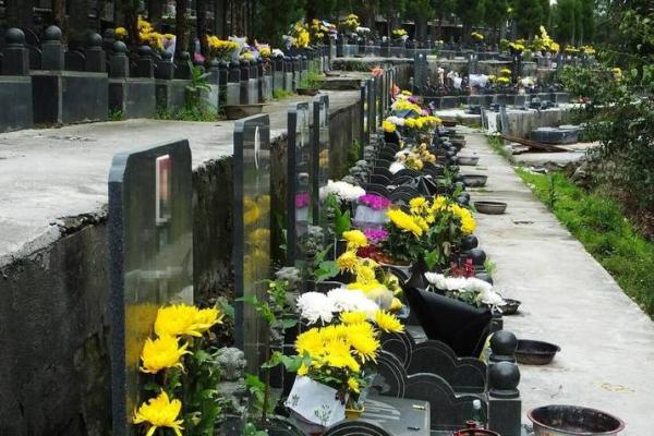 2021年4月4号上坟 2021年4月4号上坟