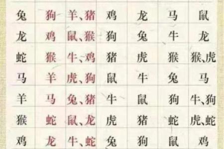 属狗和属马的适合做夫妻吗_马和狗在一起谁带财