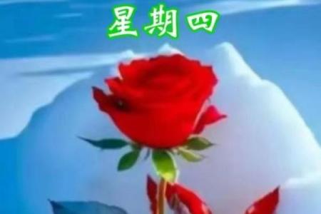 2021年4月安门的最好时间