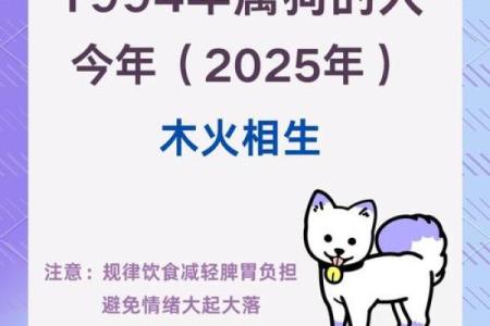 属狗人2025年_属狗人2025年运势解析事业财运与感情全攻略