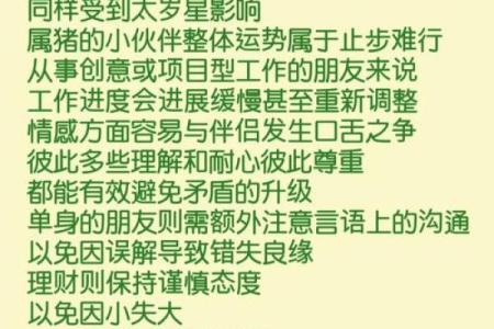 2025属马的犯太岁吗 2025属马犯太岁吗运势解析与化解必看指南