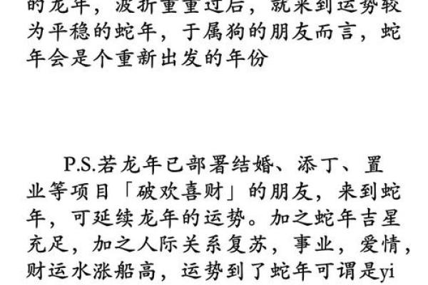 82属狗男2025年运势完整版 2025年82属狗男运势详解全年运程完整版 82属狗男2025年运势完整版 2025年82属狗男运势详解全年运程完整版