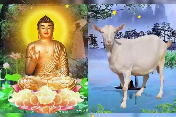 1991年属羊今年多大_86年属什么生肖 今年多大了 1991年属羊今年多大_86年属什么生肖 今年多大了