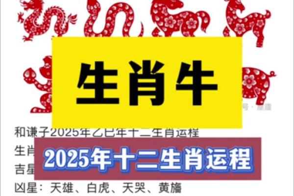 2025属龙88年人全年运势_2025年属龙88年人全年运势解析每月运程深度指南