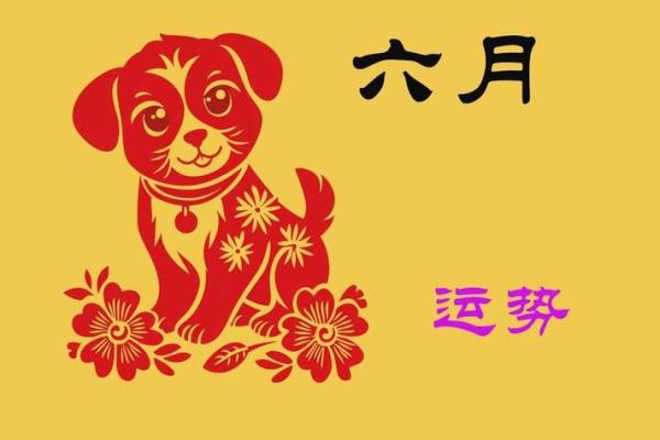 1982年属狗人2024年运势及运程_1982年属狗2025年运势完整版 1982年属狗人2024年运势及运程_1982年属狗2025年运势完整版