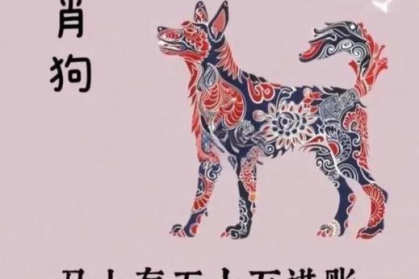 1982属狗2025年的运势及运程_1982属狗2025年运势完整版