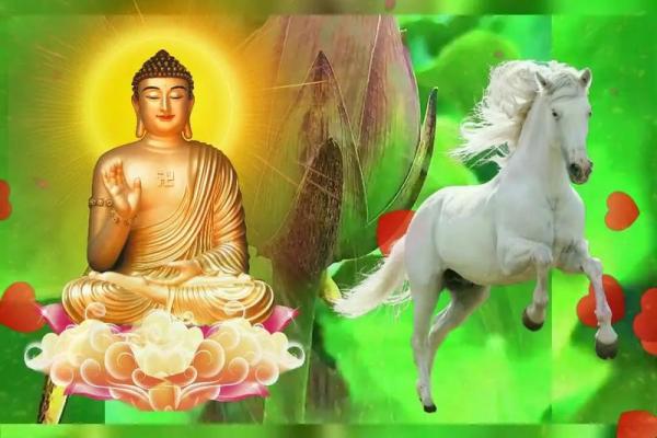 2002年属马的幸运楼层_2002年属马人幸运楼层解析选对楼层运势旺