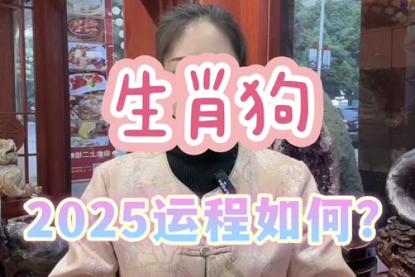 2025年属狗人每月运势_2025年属狗人每月运势完整版 2025年属狗人每月运势_2025年属狗人每月运势完整版