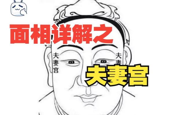 夫妻宫坐墓 夫妻宫坐墓解析婚姻运势与命理奥秘 夫妻宫坐墓 夫妻宫坐墓解析婚姻运势与命理奥秘
