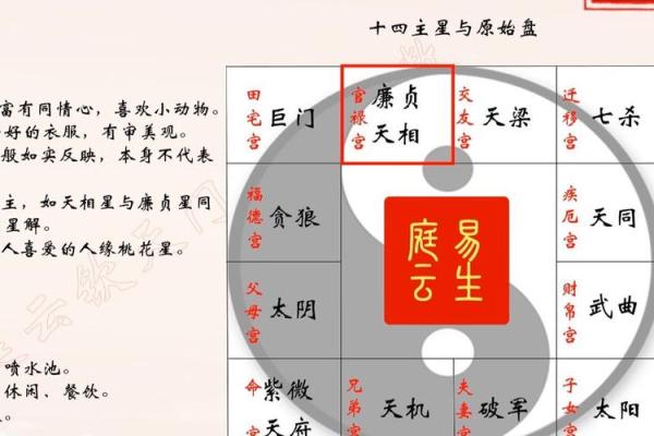 福德宫紫微天相星解析命运与财富的奥秘