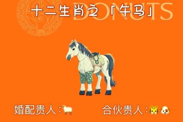 2002年属马的姻缘 2002年属马的姻缘什么时候到