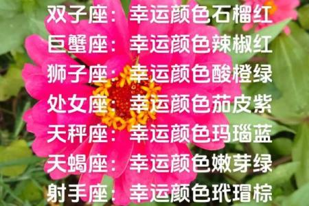 2025年4月7日白羊座今日运势颜色