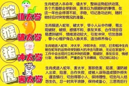 属羊2025年的全年运势_1979年属羊2025年的全年运势