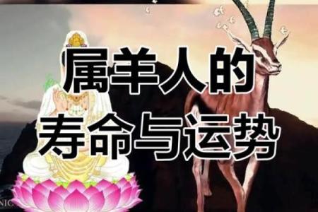 1967年2025年属羊人的全年运势 1967年属羊人2025年全年运势解析