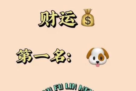 属狗的财运在哪个方向最好_94年属狗31岁有一劫