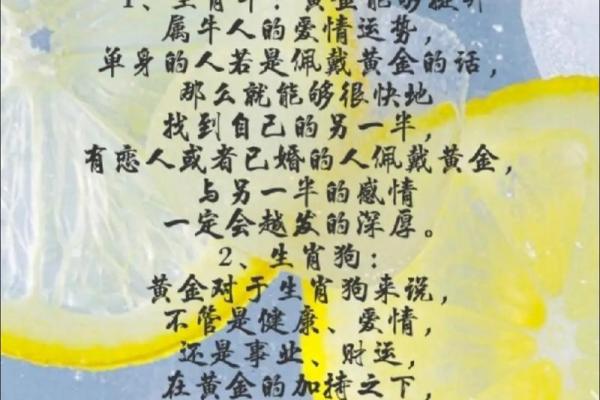 2002年属马人是什么命 2002属马是啥命 2002年属马人是什么命 2002属马是啥命