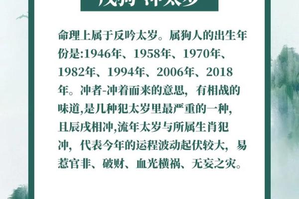 属龙今年多少岁2025 今年属龙多大岁数 属龙今年多少岁2025 今年属龙多大岁数
