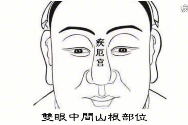 夫妻宫左辅化科_夫妻宫左辅化科入官禄宫