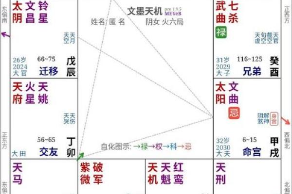 2025年3月19日子时女命紫微斗数全解盘 2025年3月19日子时女命紫微斗数全解盘