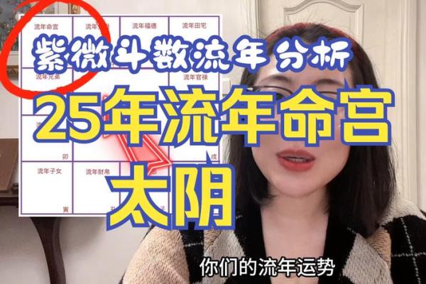 2025年2月18日寅时女命紫微斗数全解盘