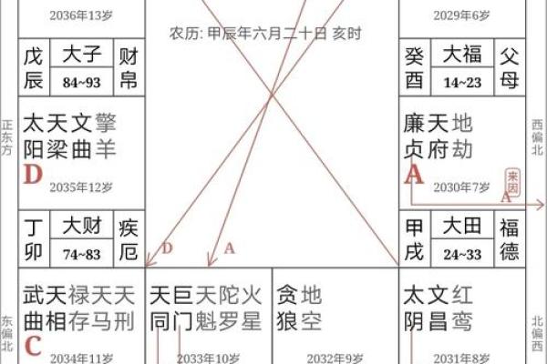 2025年3月23日寅时女命紫微斗数全解盘
