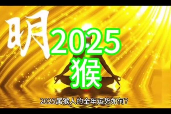 2025年的属狗运势大全_属狗2025年运势及运程每月运程狗 2025年的属狗运势大全_属狗2025年运势及运程每月运程狗