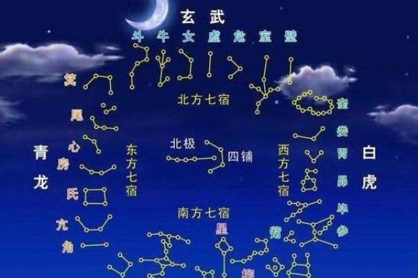 夫妻宫白虎_夫妻宫白虎解析婚姻运势与化解方法 夫妻宫白虎_夫妻宫白虎解析婚姻运势与化解方法