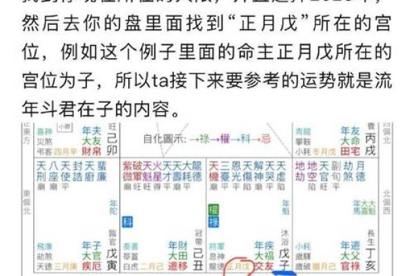 2025年3月18日丑时男命紫微斗数全解盘