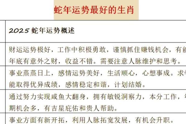 2025蛇年属龙运势详解农历各月运程全指南